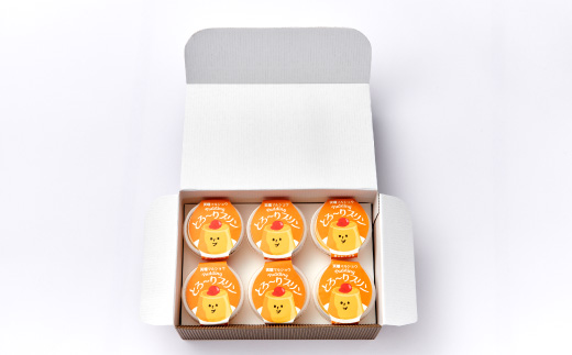 天理マルショウ とろ～りプリン　6個入【配送不可地域：離島】