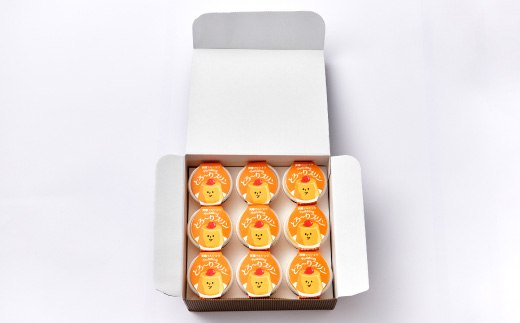 天理マルショウ とろ～りプリン　9個入【配送不可地域：離島】