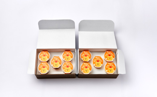 天理マルショウ とろ～りプリン　10個入【配送不可地域：離島】