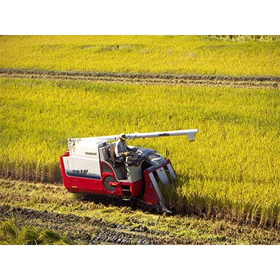 2022年11月発送開始『定期便』ひのひかり精米10kg【令和4年産】(一等米)全4回