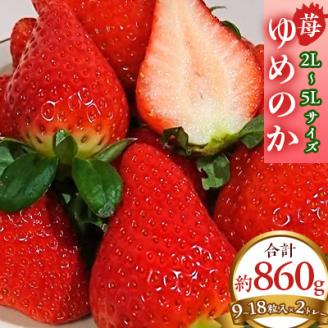 【2026年1月以降順次発送予定】電子技法栽培「苺」ゆめのか【約430g×2トレー】【配送不可地域：離島】
