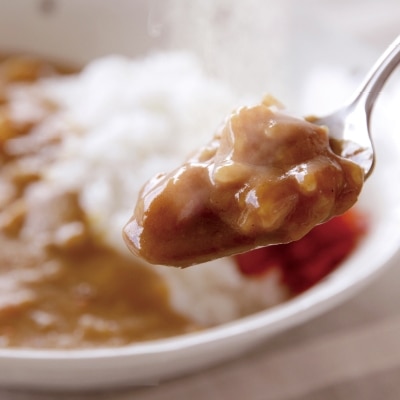 天理カレー　辛口　10個セット