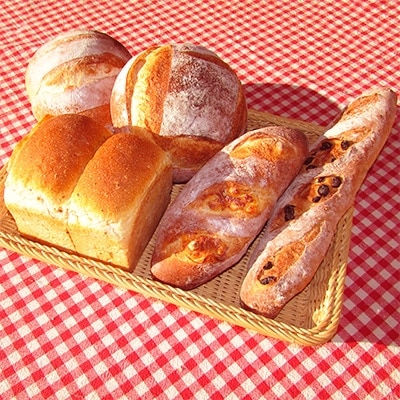 【国産小麦と天然酵母100%!】だるまのこだわりパン詰め合わせ(7個入)【配送不可地域：離島】 7個入り