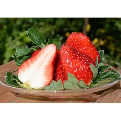 奈良で生まれた艶やかないちご　古都華　2パック【配送不可地域：離島】