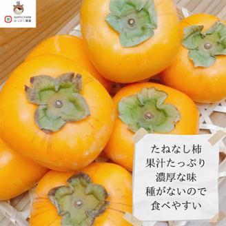 【令和7年10月下旬から発送】たねなし柿L～2Lサイズ(16～18個入り)【配送不可地域：離島】