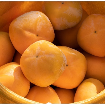 R6年10月中下旬～11月発送糖度に自信あり刀根早生発祥の地より直送種なし柿L・2L18～16個【配送不可地域：離島】