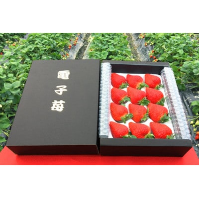 【2026年1月以降順次発送予定】電子技法栽培「苺」ゆめのか【約430g×1トレー】【配送不可地域：離島】