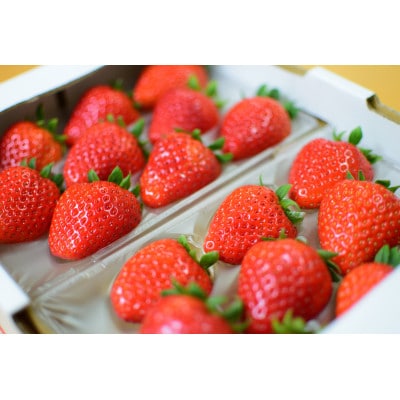 〈農家直送〉奈良県産ブランドいちご【古都華(ことか)】2パック【配送不可地域：離島・北海道・沖縄県】