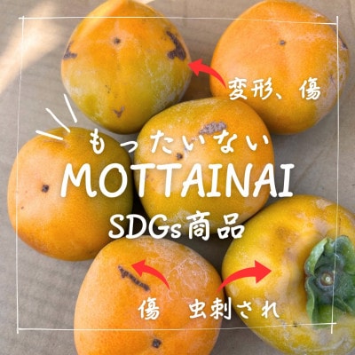 訳あり【令和7年10月より順次発送】たねなし柿L～2Lサイズ(16～18個入り)【配送不可地域：離島】