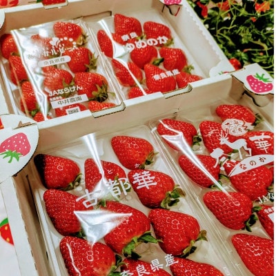 奈良県産いちごの食べ比べセット【配送不可地域：離島・北海道・沖縄県・東北】