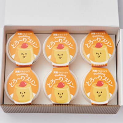 天理マルショウ とろ～りプリン　6個入【配送不可地域：離島】
