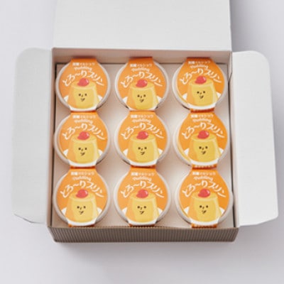 天理マルショウ とろ～りプリン　9個入【配送不可地域：離島】