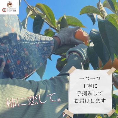 【令和8年10月より順次発送】たねなし柿L～2Lサイズ(16～18個入り)【配送不可地域：離島】