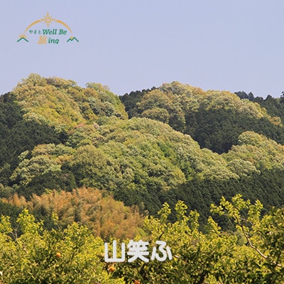 フォトグラファー小平尚典と行く「山の辺の道」撮影ツアー　【1泊2日】　2026年4月7～8日催行