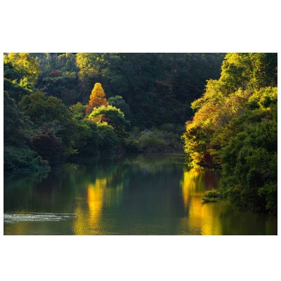 天理の風景2『AUTUMN RADIANCE ～秋光～』A4メタルグラフィックアート