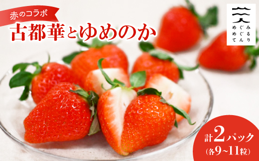 赤のコラボ「古都華」と「ゆめのか」(それぞれ9粒～11粒)【配送不可地域：離島】