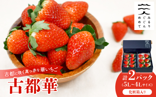 古都に咲く真っ赤な華いちご「古都華」(270g以上/5L～4Lサイズ/6～8粒)×2P　化粧箱入り【配送不可地域：離島】