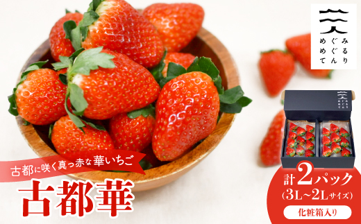 古都に咲く真っ赤な華いちご「古都華」(270g以上/3L～2Lサイズ/9～11粒)×2P　化粧箱入り【配送不可地域：離島】