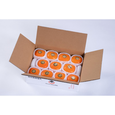 【R7年10月中下旬～11月の発送】種なし柿　2L～L　9個～11個【配送不可地域：離島】