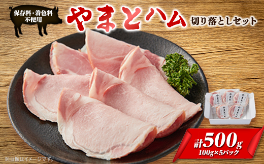 ゴールド・シー食品やまとハム切り落としセット(100g×5パック)【配送不可地域：離島】