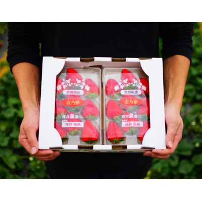 〈農家直送〉奈良県産いちご新品種【奈乃華(なのか)】2パック【配送不可地域：離島・北海道・沖縄県】