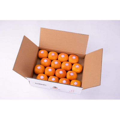 【R7年11月発送】種なし柿家庭用　約3.5k(M～3L)【配送不可地域：離島】