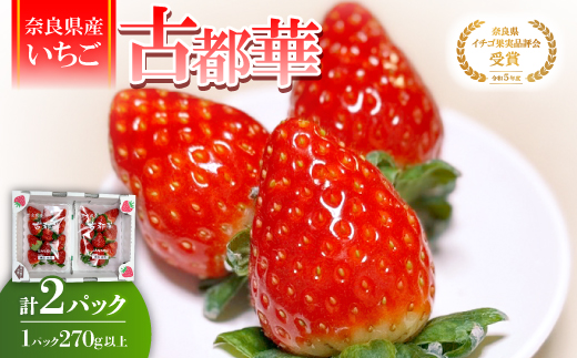 【2025年12月下旬順次発送】奈良県産いちご「古都華」2パック【配送不可地域：離島】