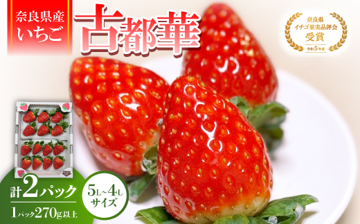 【2025年12月下旬順次発送】《希少品》奈良県産いちご「古都華」大粒(5L～4Lサイズ )2パック【配送不可地域：離島】