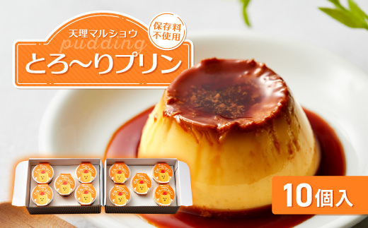 天理マルショウ とろ～りプリン　10個入【配送不可地域：離島】