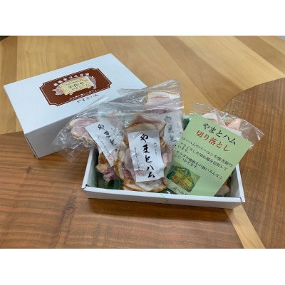 2022年11月発送開始『定期便』ゴールドシー食品ハム詰め合わせセットB 全3回【配送不可地域：離島】