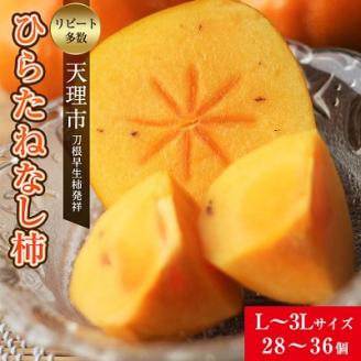 【R8年10月以降発送】刀根早生柿発祥の地・天理市のひらたねなし柿(L～3Lサイズ、28～36個)【配送不可地域：離島】