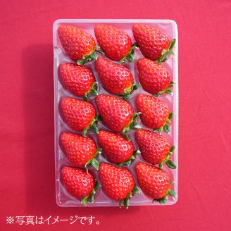 【先行予約・数量限定】【奈良県知事賞受賞】古都華（ことか）Lサイズ（11～15粒入り）×2パック｜とのあさイチゴ農園 ※2026年1月中旬～5月上旬頃に順次発送予定