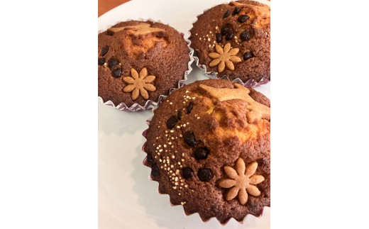 チョコとジンジャーケーキ8個入詰合せ＋お試し品2個 ※着日指定不可