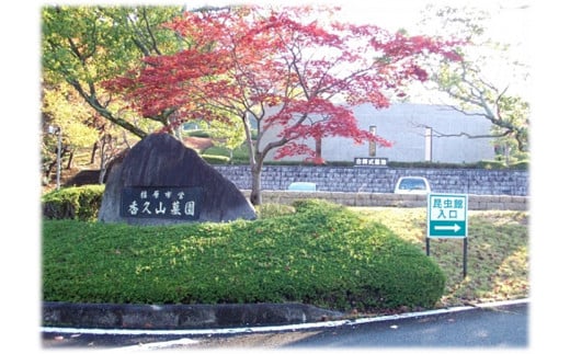 墓地の清掃作業◇