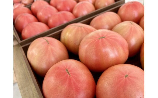 100%生しぼりトマトジュース　720ml 2本セット◇※着日指定不可