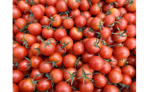 100%生しぼり【プレミアム】トマトジュース 720ml 3本セット◇※着日指定不可