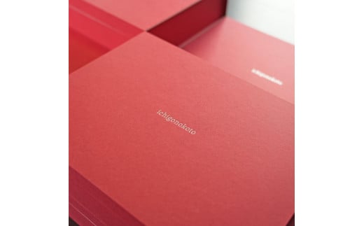 【先行予約・数量限定】【奈良県知事賞受賞】ギフトボックス入り古都華（ことか）Lサイズ×2パック｜とのあさイチゴ農園 ※2026年1月中旬～5月上旬頃に順次発送予定