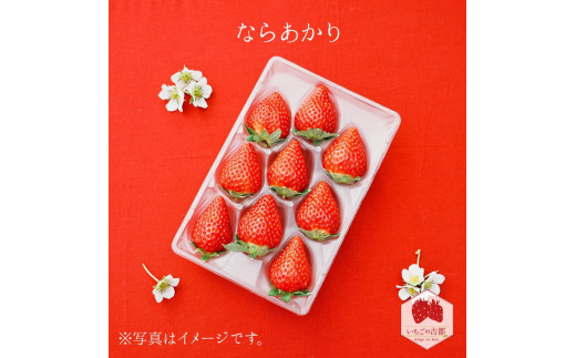 【先行予約・数量限定】【奈良県知事賞受賞】【食べ比べセット】古都華（ことか）2パック・ならあかり1パック・奈乃華1パック｜とのあさイチゴ農園 ※2026年1月中旬～5月上旬頃に順次発送予定