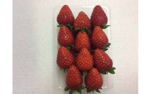 おかげさまで21年目 毎年大好評の甘い美味しい苺（レギュラーパックLサイズ）（古都華（ことか））◇※発送前電話連絡あり※発送時期指定不可 ※北海道・沖縄・離島への配送不可 ※2026年1月上旬頃より順次発送予定