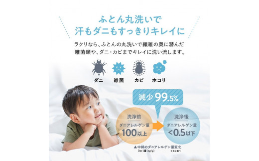 布団クリーニング　掛布団2枚コース（ダブルサイズ専用） ※北海道・沖縄・離島への配送不可※着日指定不可