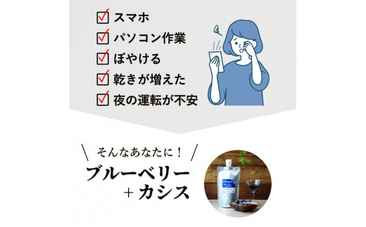 コラーゲンドリンク　ブルーベリー+カシス　2本セット（約2ヶ月分）≪コラーゲン 美肌 美容 眼精疲労 ブルーベリー カシス≫※着日指定不可