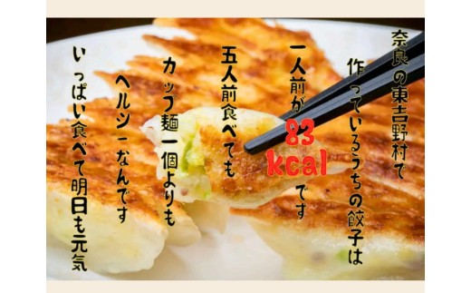 たかすみ　冷凍生餃子