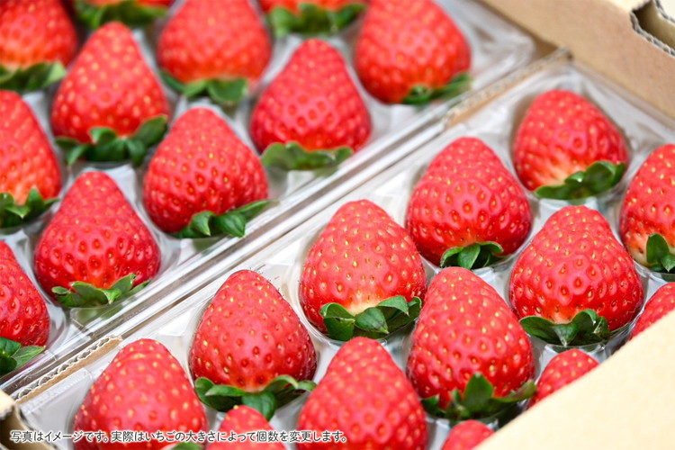 奈良県産高級ブランド　古都華 約270g×2パック ※2026年1月中旬頃より順次発送予定