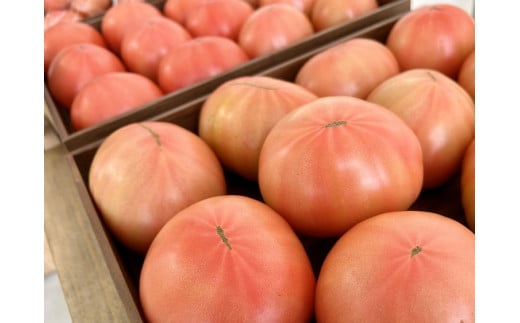 100%生しぼりトマトジュース 720ml 2本セット（1本【プレミアム】）