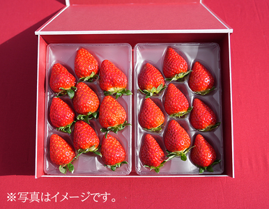 【先行予約・数量限定】【奈良県知事賞受賞】【食べ比べセット：ギフトボックス】古都華（ことか）1パック・奈乃華1パック｜とのあさイチゴ農園 ※2026年1月中旬～5月上旬頃に順次発送予定