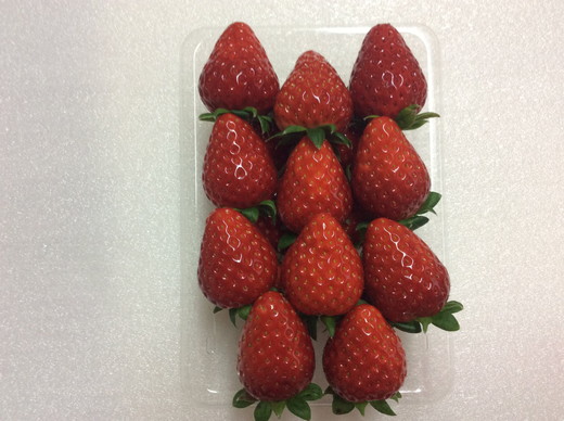 おかげさまで21年目 毎年大好評の甘い美味しい苺（レギュラーパックLサイズ×2パック）（古都華（ことか））※北海道・沖縄・離島への配送不可 ※2026年1月上旬頃より順次発送予定