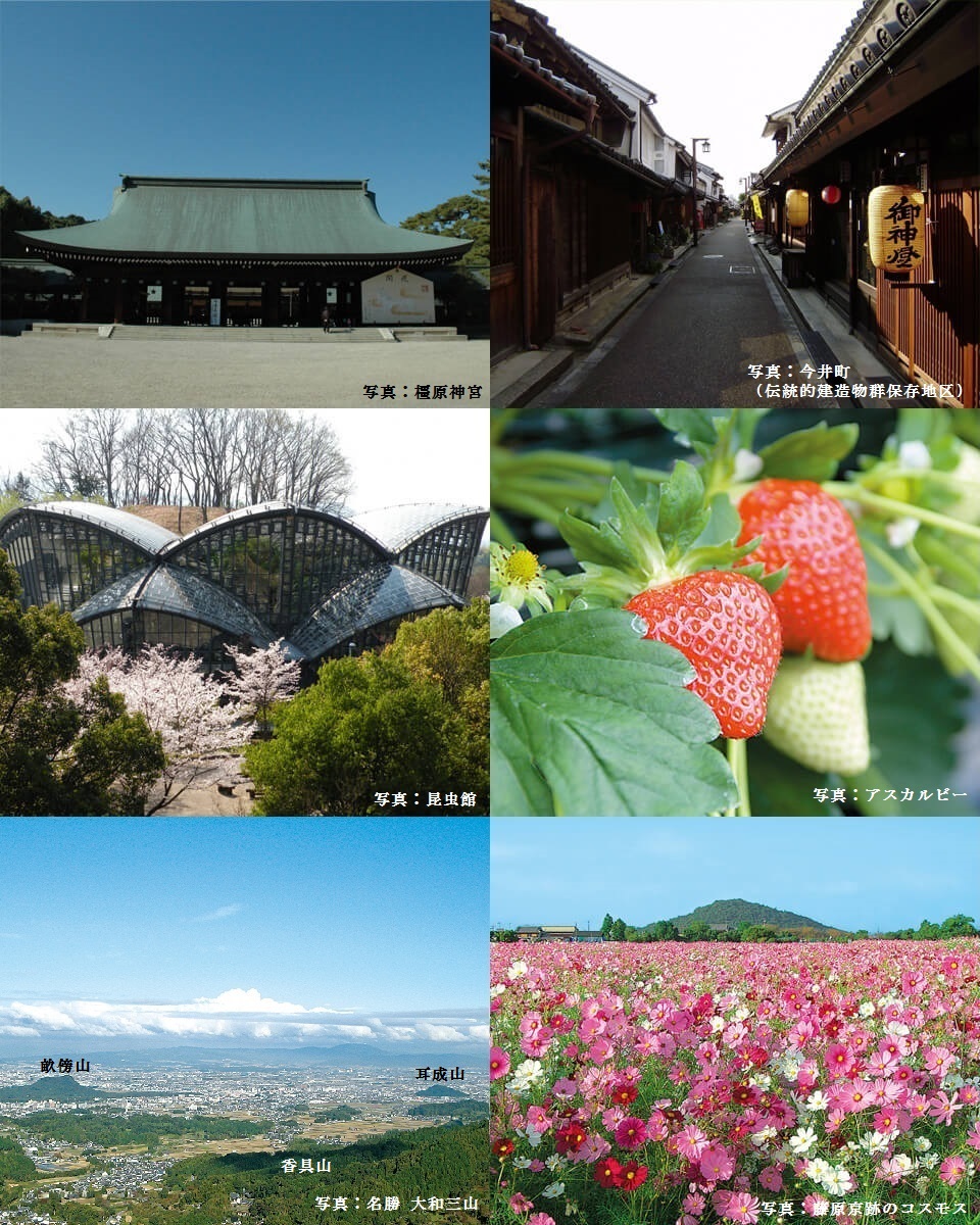 （返礼品なし)誇れる郷土・かしはら応援寄附金(10,000円単位でご寄附いただけます)