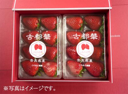 【先行予約・数量限定】【奈良県知事賞受賞】ギフトボックス入り古都華（ことか）2Lサイズ（8～9粒入り）×2パック｜とのあさイチゴ農園 ※2026年1月中旬～5月上旬頃に順次発送予定