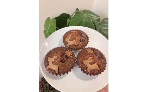 チョコとジンジャーケーキ8個入詰合せ＋お試し品2個 ※着日指定不可