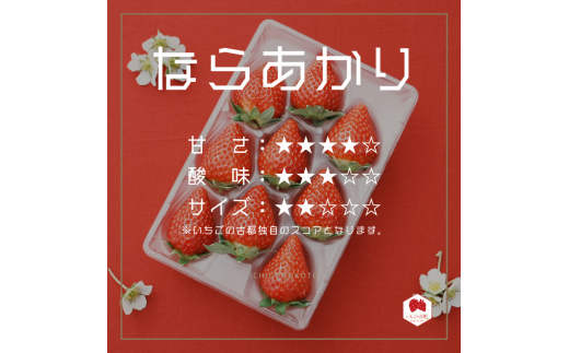 【先行予約・数量限定】【奈良県知事賞受賞】【食べ比べセット】古都華（ことか）1パック・ならあかり1パック ※2026年1月中旬～5月上旬頃に順次発送予定